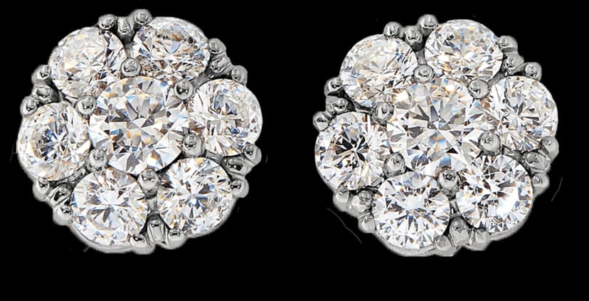 Earrings >>